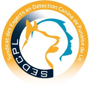 Certification professionnelle